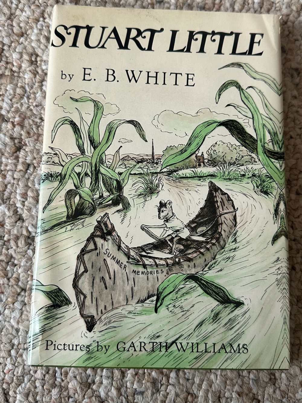 Stuart Little book
